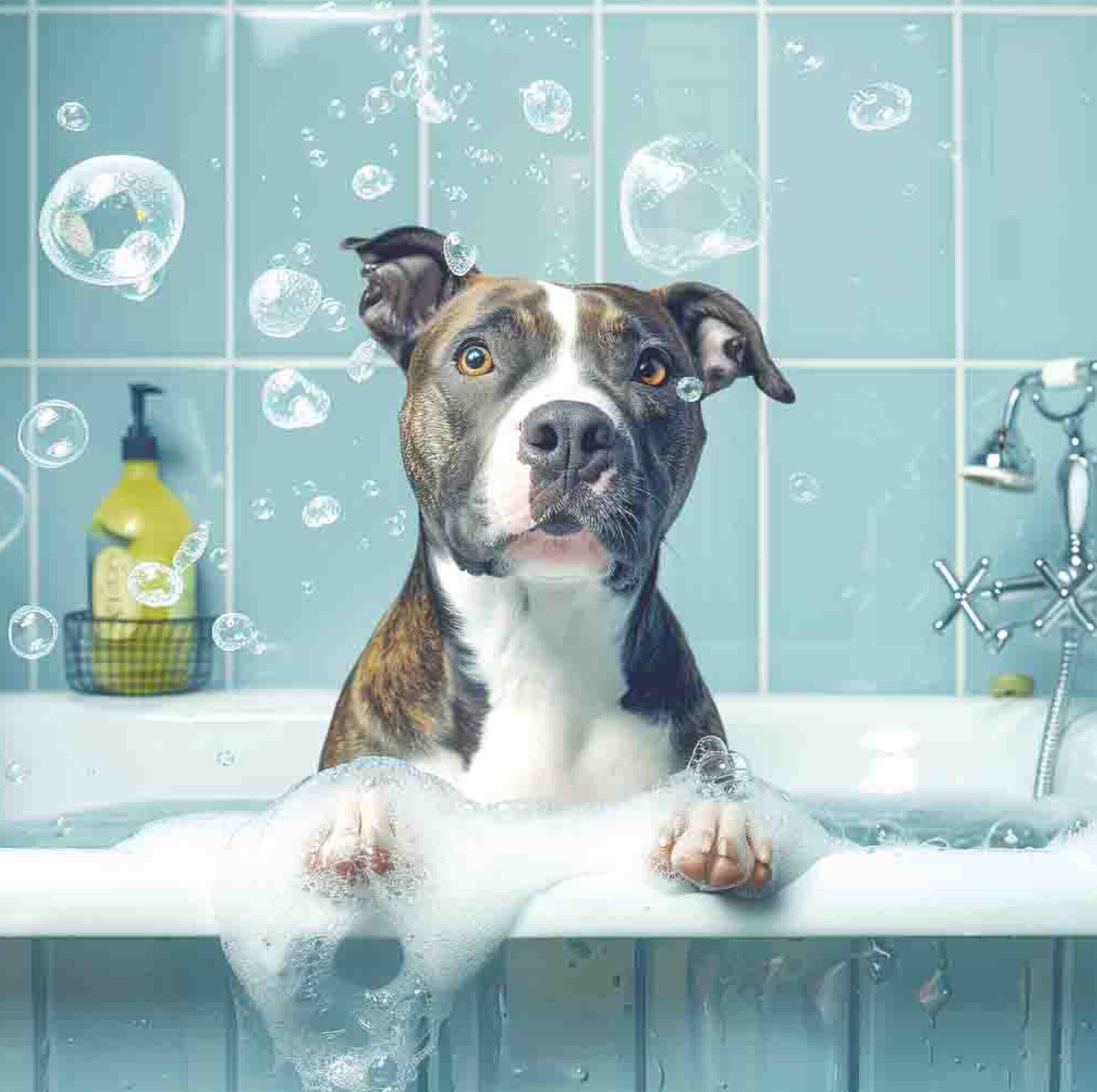 Grey & White Staffy Bubble Bath