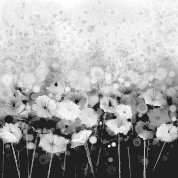 Pretty Petals – Monochrome