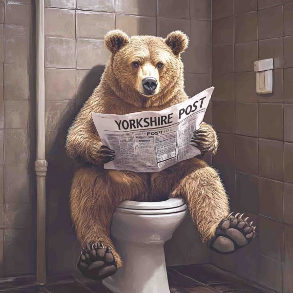 Toilet Bear Yorkshire Post
