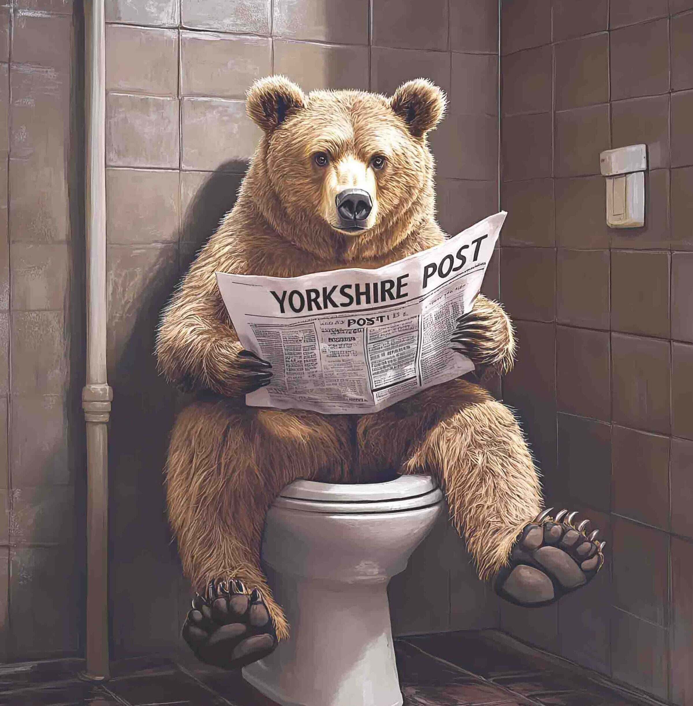 Toilet Bear Yorkshire Post