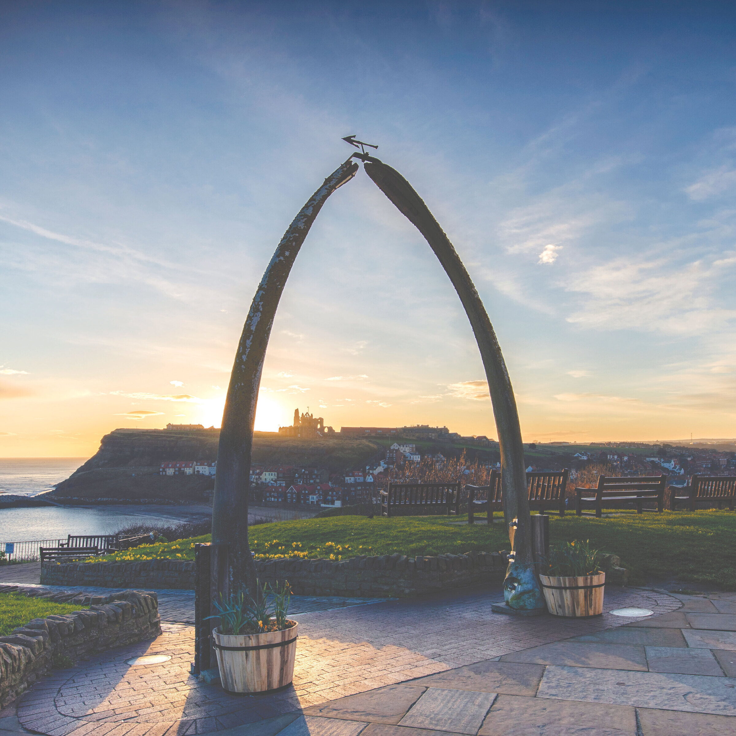 Whitby Bones