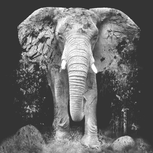 Ancient Elephant